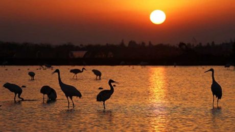 Çin Kültür Merkezi