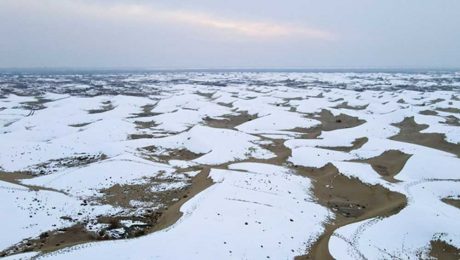 Çin Kültür Merkezi