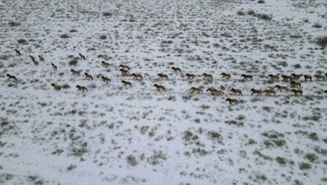 Çin Kültür Merkezi