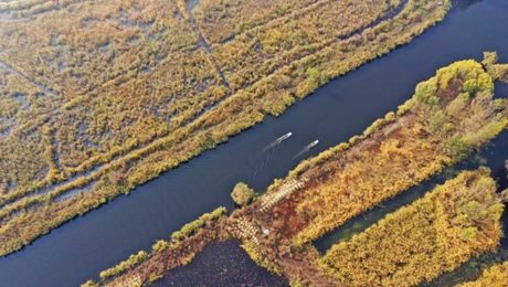 Çin Kültür Merkezi