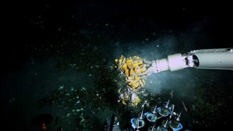 Çin Kültür Merkezi