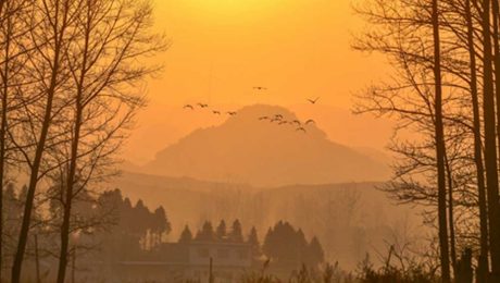 Çin Kültür Merkezi