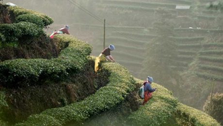 Çin Kültür Merkezi