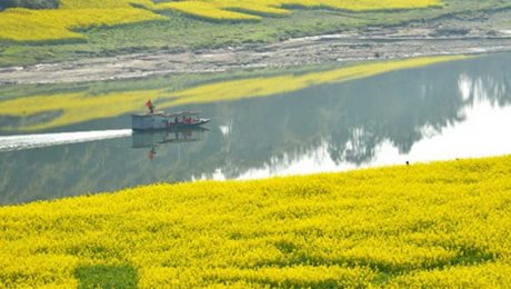 Çin Kültür Merkezi