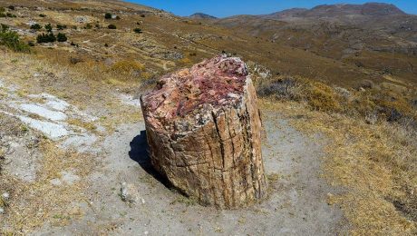 Çin Kültür Merkezi