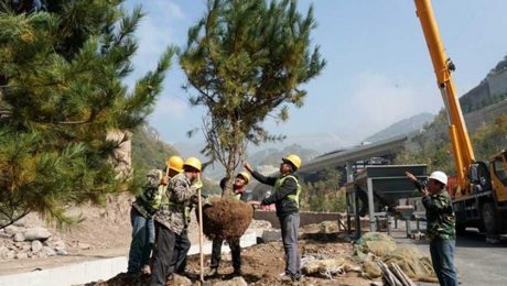 Çin Kültür Merkezi