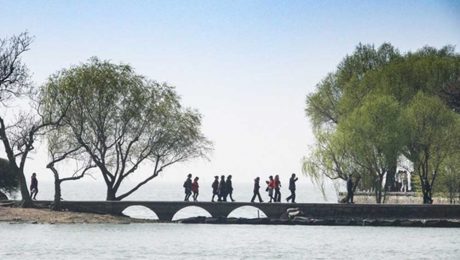 Çin Kültür Merkezi