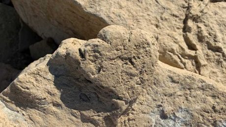 Çin Kültür Merkezi