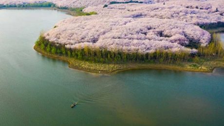 Çin Kültür Merkezi