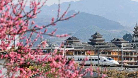 Çin Kültür Merkezi