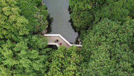 Çin Kültür Merkezi