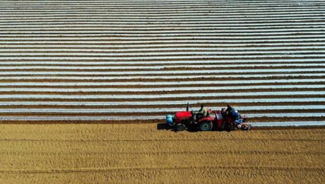 Çin Kültür Merkezi
