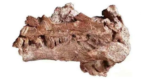 Çin Kültür Merkezi