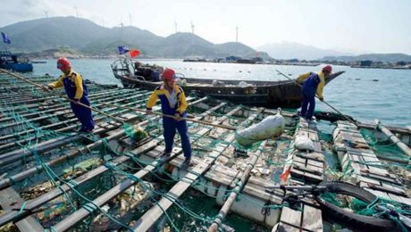 Çin Kültür Merkezi