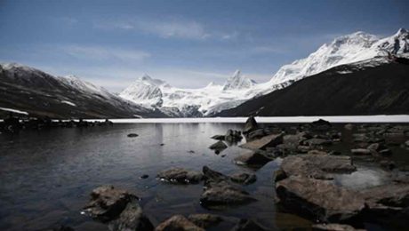 Çin Kültür Merkezi