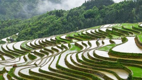 Çin Kültür Merkezi