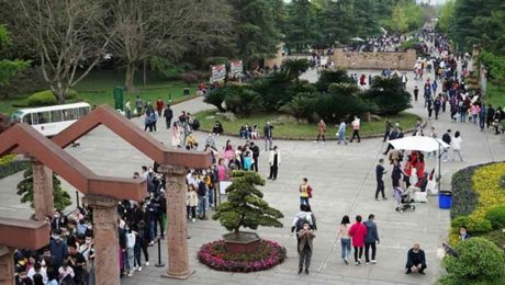 Çin Kültür Merkezi