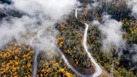 Çin Kültür Merkezi