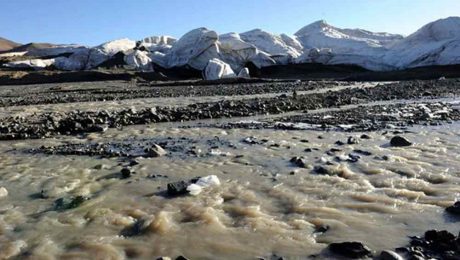 Çin Kültür Merkezi