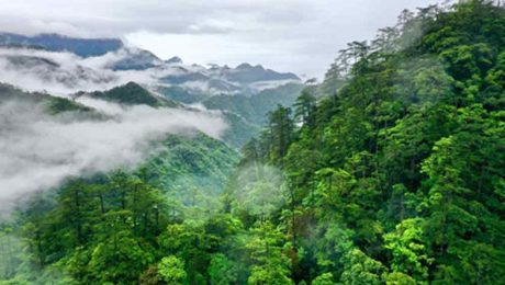 Çin Kültür Merkezi