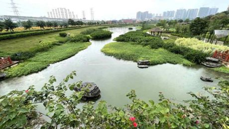 Çin Kültür Merkezi