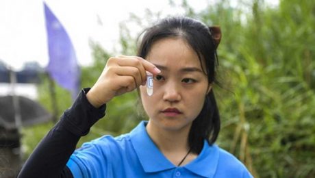 Çin Kültür Merkezi