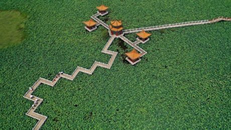 Çin Kültür Merkezi