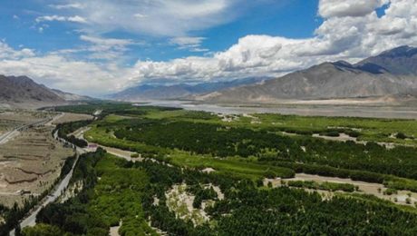 Çin Kültür Merkezi