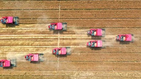 Çin Kültür Merkezi