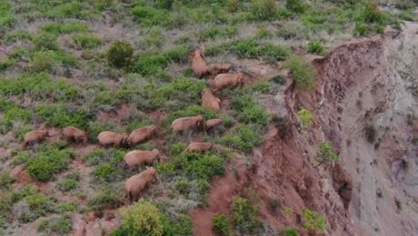 Çin Kültür Merkezi