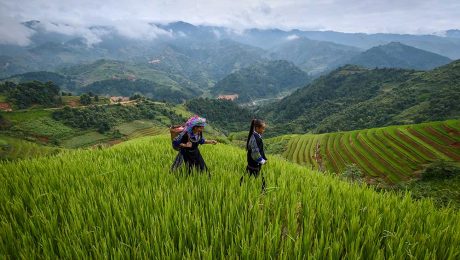 Çin Kültür Merkezi