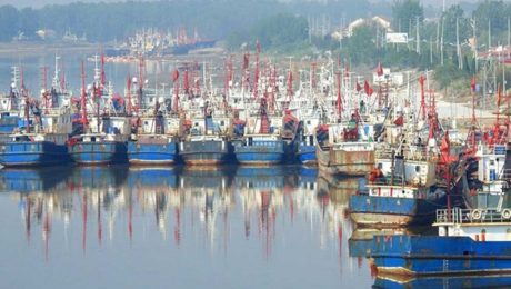 Çin Kültür Merkezi