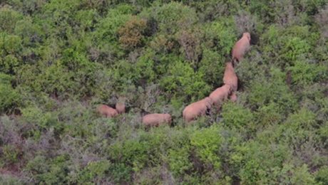 Çin Kültür Merkezi