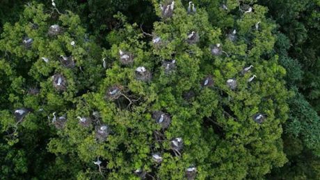 Çin Kültür Merkezi