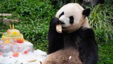 Çin Kültür Merkezi