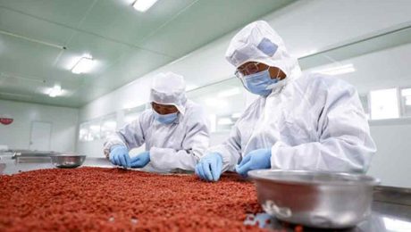 Çin Kültür Merkezi