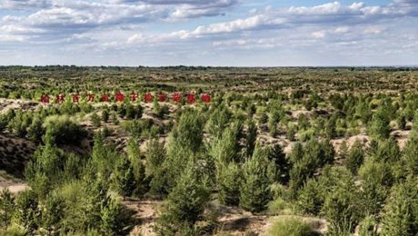 Çin Kültür Merkezi