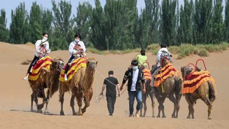 Çin Kültür Merkezi