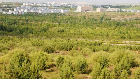 Çin Kültür Merkezi