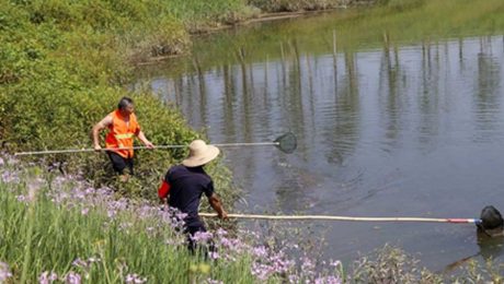 Çin Kültür Merkezi