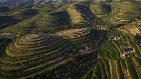 Çin Kültür Merkezi