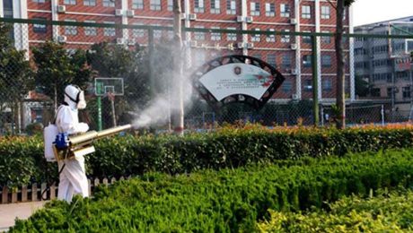 Çin Kültür Merkezi