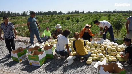Çin Kültür Merkezi