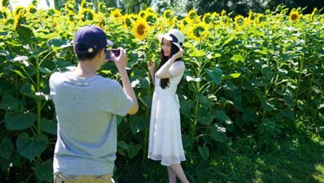 Çin Kültür Merkezi