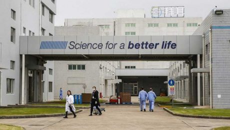 Çin Kültür Merkezi