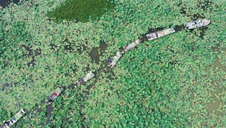 Çin Kültür Merkezi