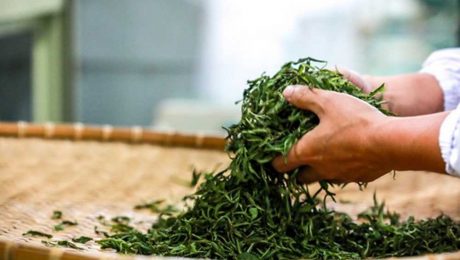 Çin Kültür Merkezi