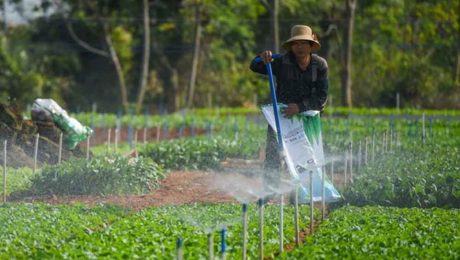 Çin Kültür Merkezi