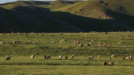 Çin Kültür Merkezi