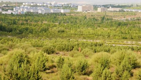 Çin Kültür Merkezi